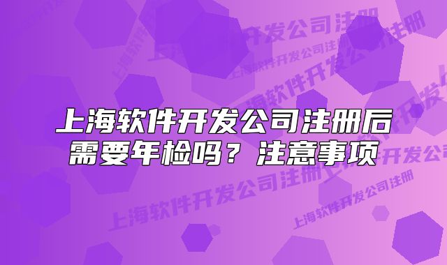上海软件开发公司注册后需要年检吗?注意事项