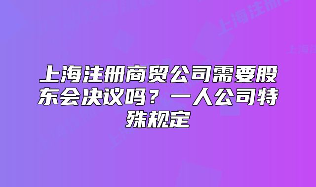 上海注册商贸公司需要股东会决议吗？一人公司特殊规定