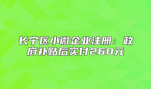 长宁区小微企业注册:政府补贴后实付260元