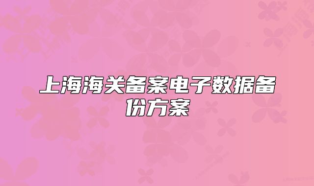 上海海关备案电子数据备份方案