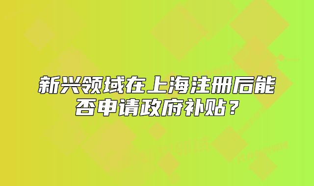 新兴领域在上海注册后能否申请政府补贴?