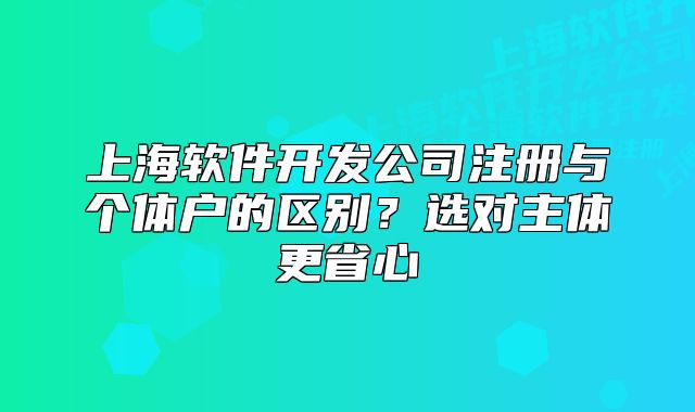 上海软件开发公司注册与个体户的区别?选对主体更省心