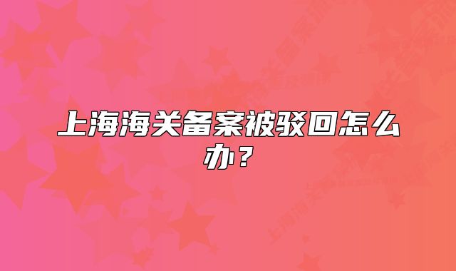 上海海关备案被驳回怎么办？