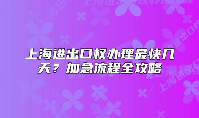 上海进出口权办理最快几天?加急流程全攻略