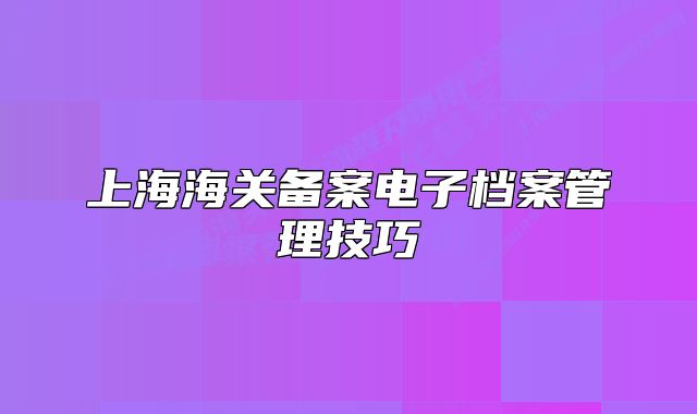 上海海关备案电子档案管理技巧