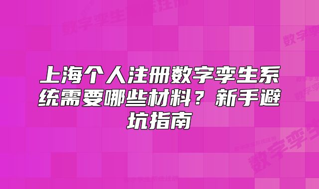 上海个人注册数字孪生系统需要哪些材料?新手避坑指南