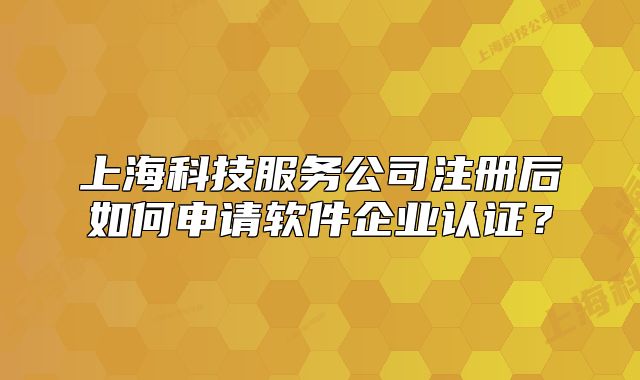 上海科技服务公司注册后如何申请软件企业认证?