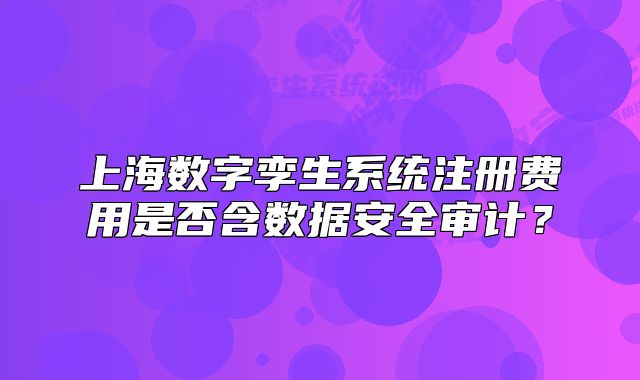 上海数字孪生系统注册费用是否含数据安全审计?