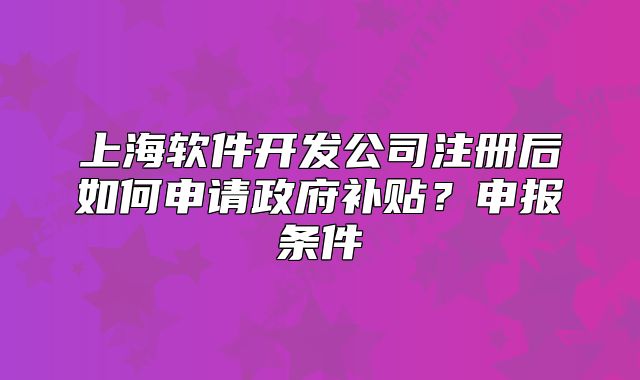 上海软件开发公司注册后如何申请政府补贴?申报条件