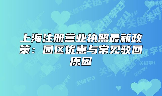 上海注册营业执照最新政策：园区优惠与常见驳回原因