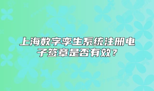 上海数字孪生系统注册电子签章是否有效?