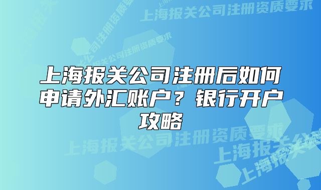 上海报关公司注册后如何申请外汇账户？银行开户攻略
