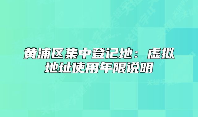 黄浦区集中登记地：虚拟地址使用年限说明