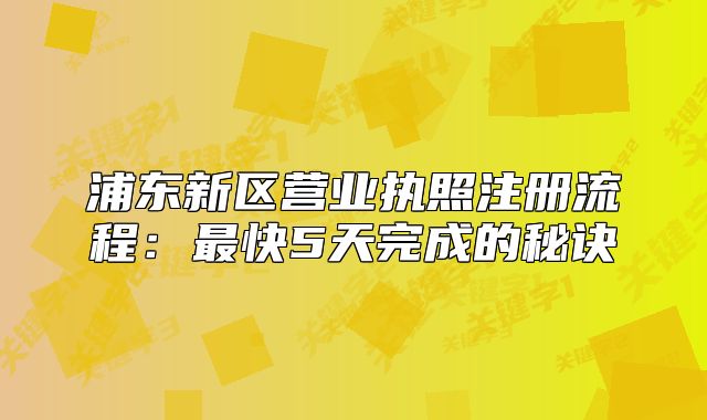 浦东新区营业执照注册流程:最快5天完成的秘诀