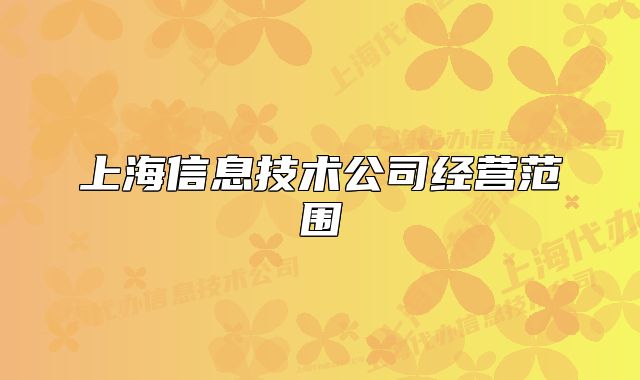 上海信息技术公司经营范围