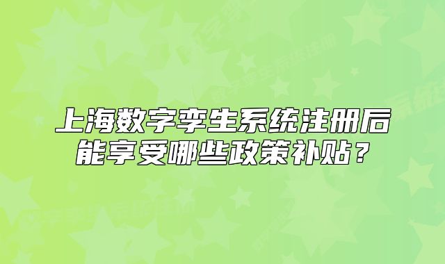 上海数字孪生系统注册后能享受哪些政策补贴?