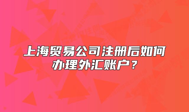 上海贸易公司注册后如何办理外汇账户？