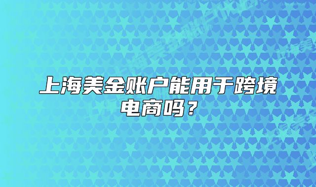 上海美金账户能用于跨境电商吗?