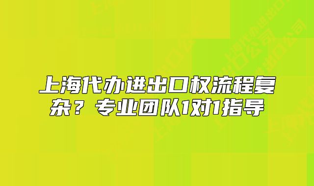 上海代办进出口权流程复杂?专业团队1对1指导