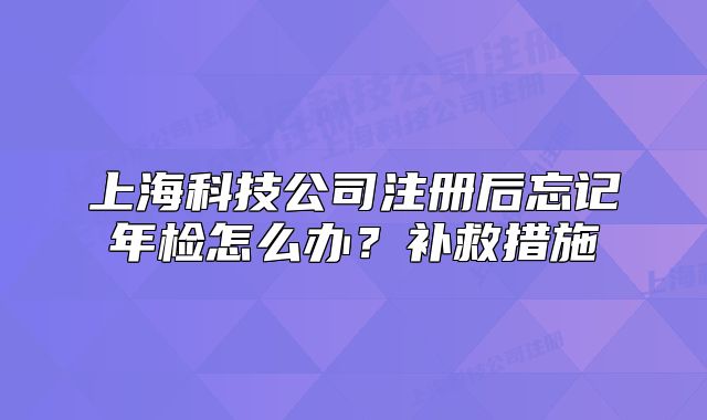 上海科技公司注册后忘记年检怎么办？补救措施