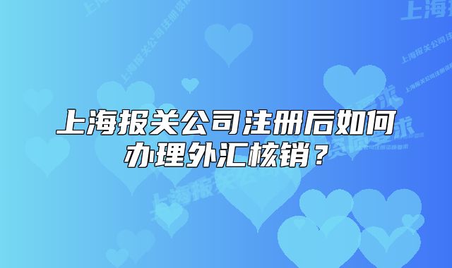 上海报关公司注册后如何办理外汇核销?