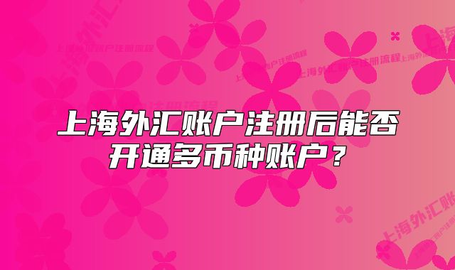 上海外汇账户注册后能否开通多币种账户？