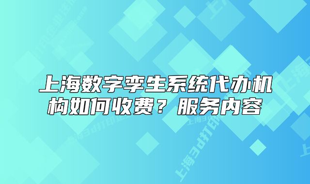 上海数字孪生系统代办机构如何收费?服务内容