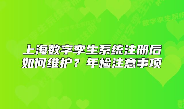 上海数字孪生系统注册后如何维护?年检注意事项
