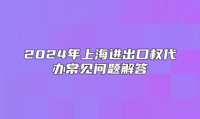 2024年上海进出口权代办常见问题解答