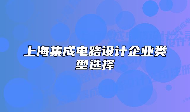 上海集成电路设计企业类型选择
