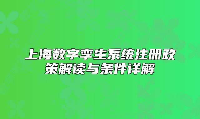 上海数字孪生系统注册政策解读与条件详解