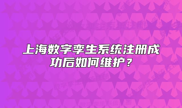 上海数字孪生系统注册成功后如何维护?