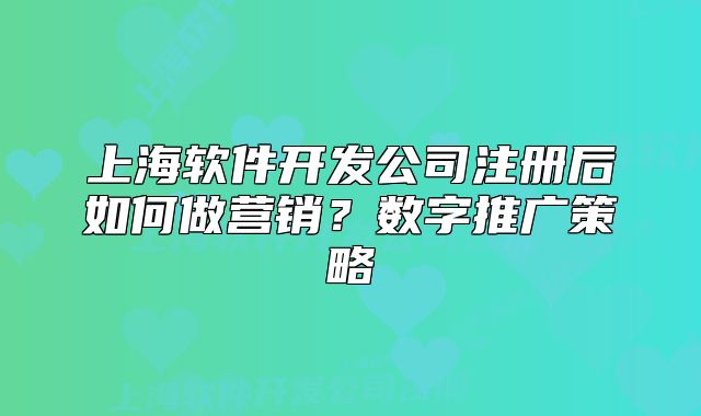 上海软件开发公司注册后如何做营销？数字推广策略