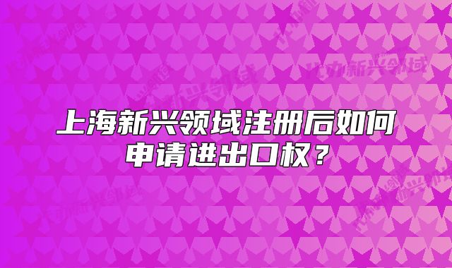 上海新兴领域注册后如何申请进出口权?