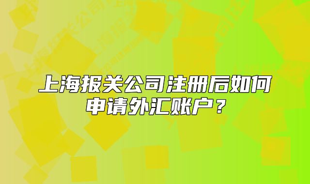 上海报关公司注册后如何申请外汇账户?