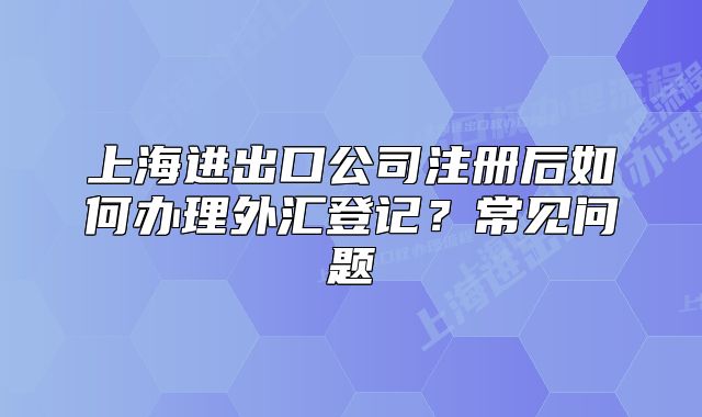 上海进出口公司注册后如何办理外汇登记？常见问题