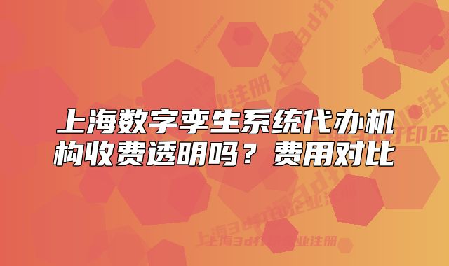 上海数字孪生系统代办机构收费透明吗?费用对比