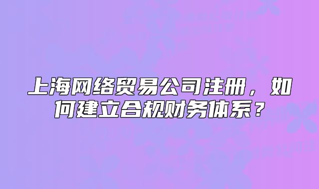 上海网络贸易公司注册，如何建立合规财务体系？