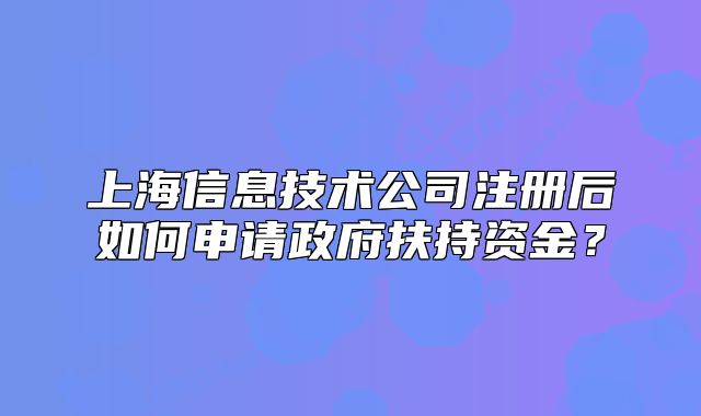 上海信息技术公司注册后如何申请政府扶持资金？