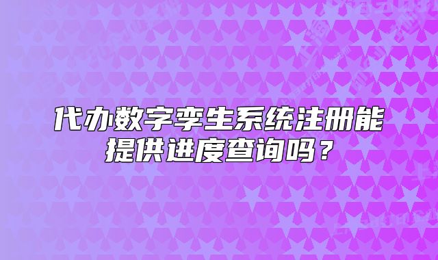 代办数字孪生系统注册能提供进度查询吗？