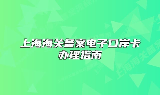 上海海关备案电子口岸卡办理指南