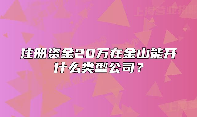 注册资金20万在金山能开什么类型公司？