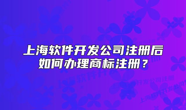 上海软件开发公司注册后如何办理商标注册?