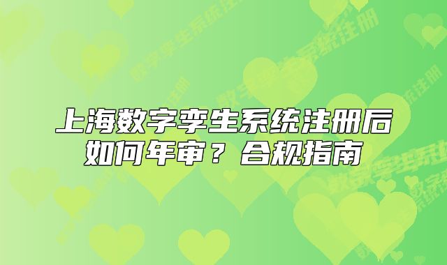 上海数字孪生系统注册后如何年审?合规指南