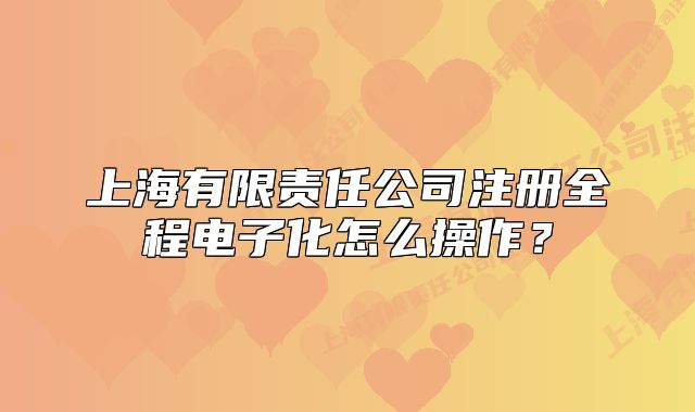 上海有限责任公司注册全程电子化怎么操作?