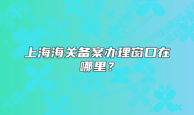 上海海关备案办理窗口在哪里?