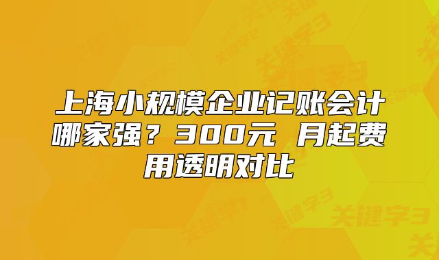 上海小规模企业记账会计哪家强？300元 月起费用透明对比