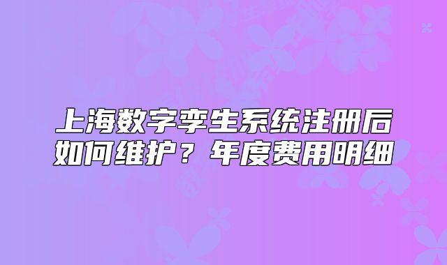 上海数字孪生系统注册后如何维护?年度费用明细