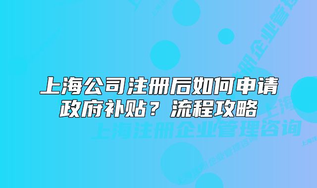 上海公司注册后如何申请政府补贴?流程攻略