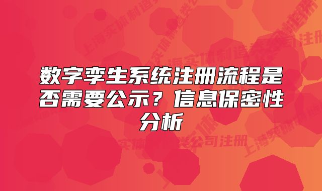 数字孪生系统注册流程是否需要公示?信息保密性分析